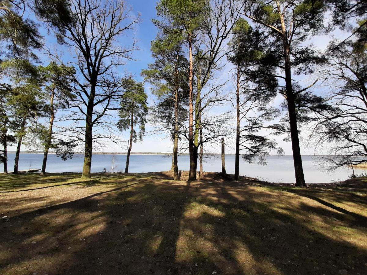 Zubr Nad Zalewem Apartment Luka Luaran gambar