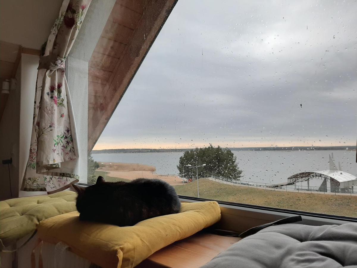 Zubr Nad Zalewem Apartment Luka Luaran gambar
